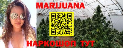 jwh Краснодар