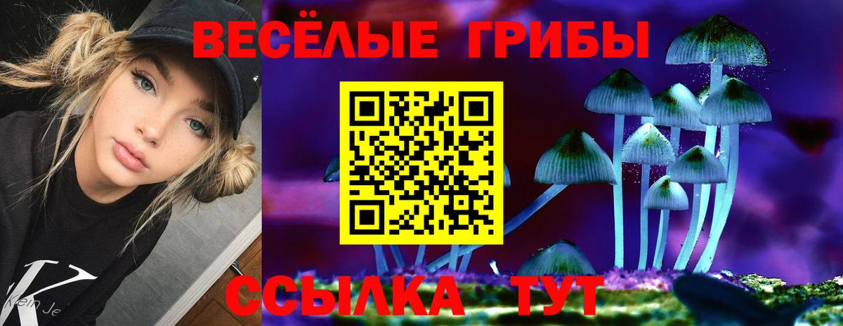 где купить наркотик  Псилоцибиновые грибы GOLDEN TEACHER  Вход с VPN  Чита 