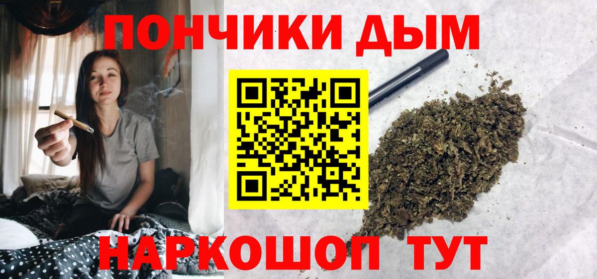 Бошки Шишки сатива Чита